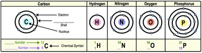 Energy shells for common elements