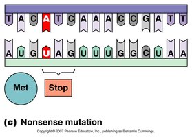 Nonsense mutation