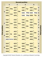Genetic code table