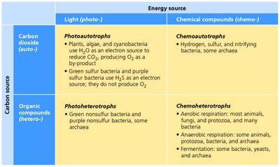 Table of nutritional types: photoautotrophs, chemoautotrophs, photoheterotrophs, chemoheterotrophs