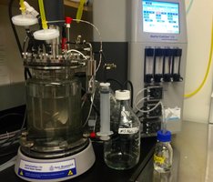 Chemostat for continuous culture