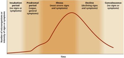 Graph of stages of infectious disease