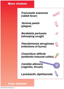 Microbial adhesion to host cell via ligand-receptor interaction