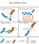 How probiotics work: competition, blocking, stimulation, antagonism