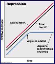 Repression growth curve