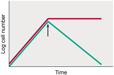 Graph showing bactericidal effect on cell number over time