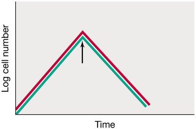 Graph showing bacteriolytic effect on cell number over time