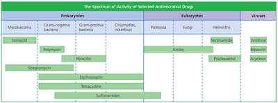 Table showing spectrum of activity of antimicrobial drugs