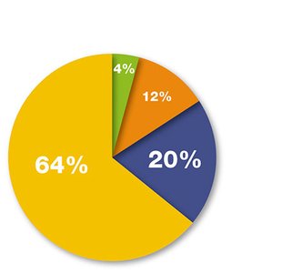 Pie chart of dominant bacterial phyla in the eye microbiome