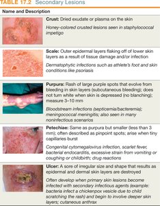 Table of secondary skin lesions with images and descriptions