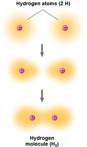 Types of covalent bonds