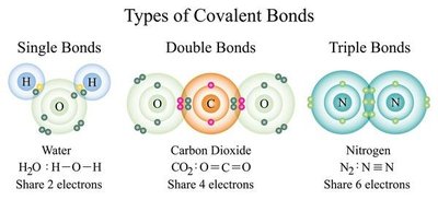 Single, double, and triple covalent bonds