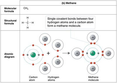 Electronegativity and polarity in water
