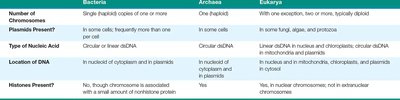 Comparison table of genomes in Bacteria, Archaea, and Eukarya
