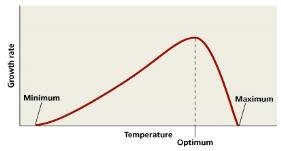 Growth rate curve showing minimum, optimum, and maximum temperatures
