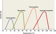 Growth rate vs. temperature for different microbial groups