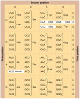 Genetic code table