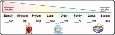 Diagram of taxonomic hierarchy from domain to species