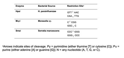 Table of restriction enzymes and their recognition sites (continued)