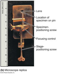 Microscope replica used by early microbiologists