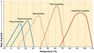 Growth rates of different types of microorganisms in response to temperature
