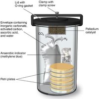 Jar for cultivating anaerobic bacteria