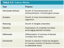 Table of culture media types and purposes