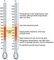 Food preservation temperatures and bacterial growth