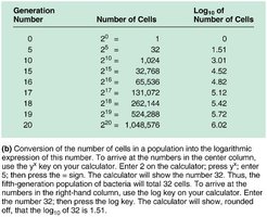 Logarithmic and arithmetic growth curves