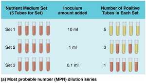 MPN dilution series