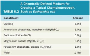 Chemically defined medium for Escherichia coli