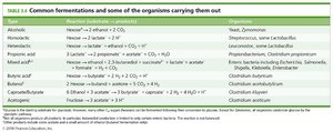 Table of common fermentations and organisms