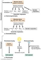 Diagram of energy conservation strategies