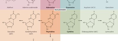 Nucleoside analogs and their antimicrobial uses