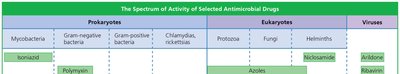 Spectrum of activity of selected antimicrobial drugs