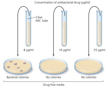 MBC test for bactericidal activity