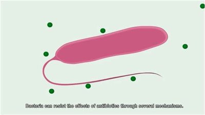 Forms of antibiotic resistance