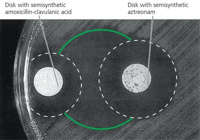 Synergism between two antimicrobial agents