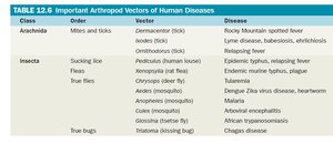 Table of important arthropod vectors of human diseases