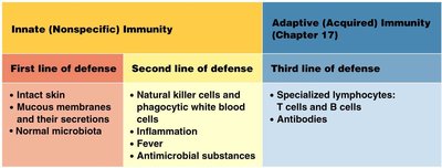Comparison of innate and adaptive immunity