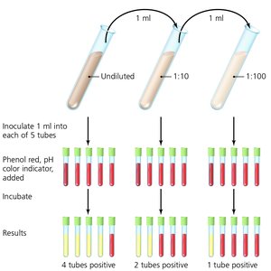 MPN method for estimating microbial numbers