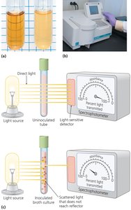 Measuring turbidity with a spectrophotometer