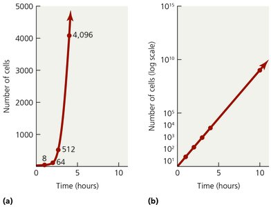 Logarithmic growth curve
