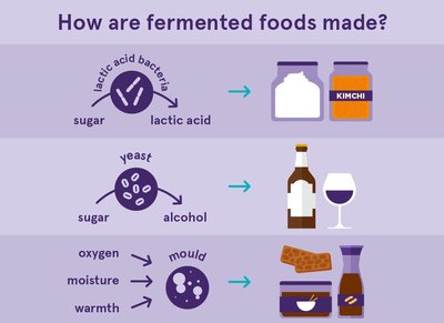 How fermented foods are made