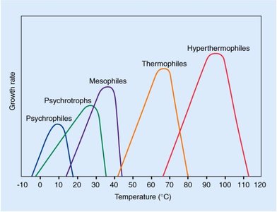 Temperature ranges for microbial groups