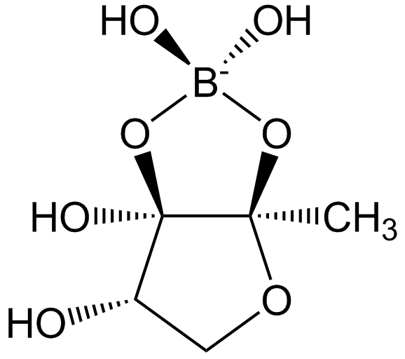 Chemical structure of AI-2 (Autoinducer-2)