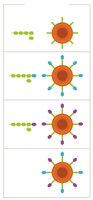 Blood group antigens
