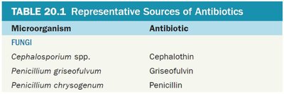 Representative Sources of Antibiotics (Fungi)