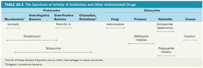 Spectrum of Activity of Antibiotics and Other Antimicrobial Drugs