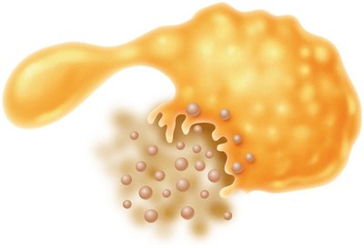 Injury to the Plasma Membrane of a Yeast Cell Caused by an Antifungal Drug
